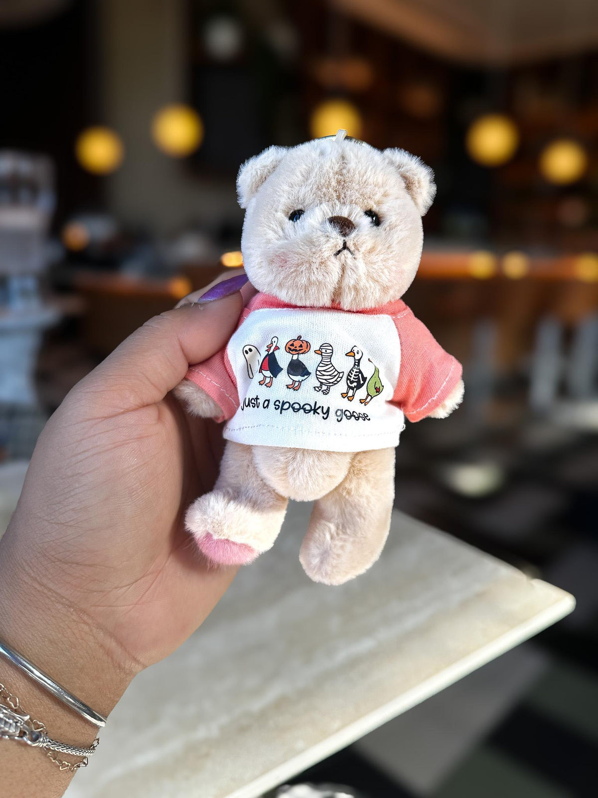 Just a Spooky Goose Halloween Teddy Bear Bag Charm