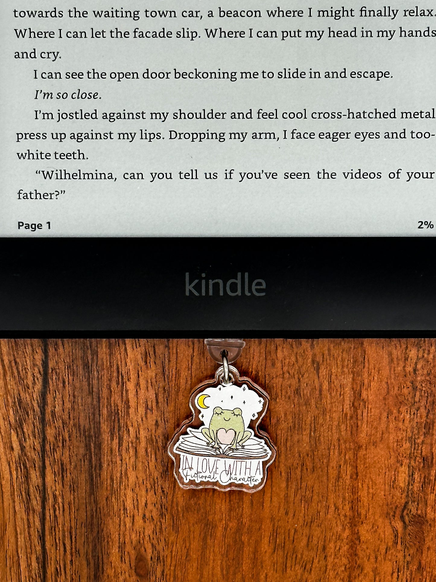 In Love With Fictional Characters Kindle Charm