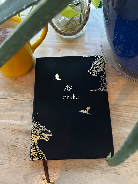 The Dragon Rider Gold Foil A5 Journal